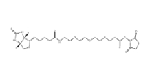 1253286-56-4 Biotin-PEG3-NHS ester 生物素三聚乙二醇琥珀酰亞胺酯