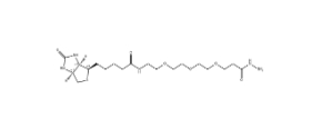 1381861-94-4 Biotin-peg3-hydrazide 生物素-PEG3-酰肼