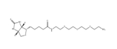359860-27-8 Amine-PEG3-Biotin 生物素-PEG3-胺
