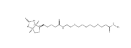 1381861-94-4,(+)-Biotin-PEG3-Hydrazide