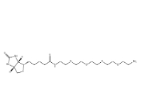 663171-32-2,Biotin-PEG6-NH2,小分子PEG