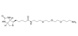 1374658-86-2,Biotin-PEG3-（CH2）3-NH2 TFA salt，生物素-三聚乙二醇-亞甲基-氨基