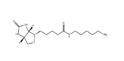 CAS號(hào):115416-38-1；生物素-C5-胺；5-(Biotinamido)pentylamine