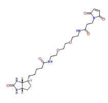 305372-39-8；Biotin-PEG2-amido-Mal；物素-二聚乙二醇-酰胺-馬來酰亞胺	