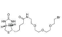 [CAS 1041766-91-9]，1-Biotinylamino-3,6,9-trioxaundecane-11-bromide 