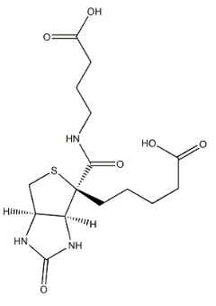 4-（（Biotinoyl）amino）Butyric acid	    35924-87-9	          生物素酰基-4-氨基丁酸