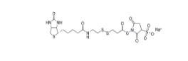 Sulfo-NHS-SS-biotin,Sulfo-NHS-SS-Biotin sodium、325143-98-4、生物素-二硫鍵-磺酸-琥珀酰亞胺酯