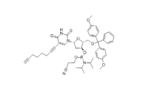 clk-a03-1g c8-alkyne-du-cep, 1 g pack,CAS號:938186-76-6