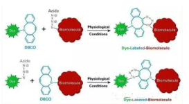 Cy5.5-DBCO,Cyanine5.5 DBCO，Cy5.5熒光標(biāo)記二苯基環(huán)辛炔