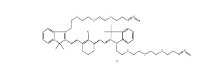 2107273-84-5；N,N＇-bis-(azide-PEG3)-chlorocyclohexenyl Cy7；N,N＇-雙-(疊氮-三聚乙二醇)-氯環己烯 CY7染料	