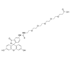 2183440-40-4，5-FITC-PEG5-COOH，Fluorescein-PEG5-acid，熒光素-五聚乙二醇-丙酸	