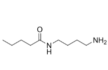 C4-Amide-C4-NH2，CAS號：1018541-17-7