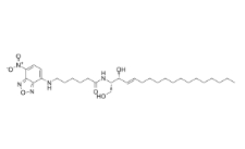 CAS號(hào)：94885-02-6， C6 NBD Ceramide