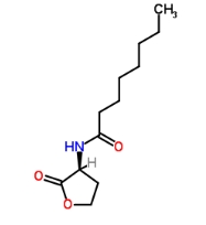 C8-HSL，CAS號(hào)：147852-84-4             瑞禧生物