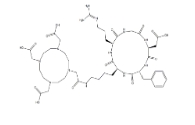 CAS號(hào)：909024-55-1；DOTA-cyclo(RGDfK) acetate