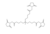 173414-89-6，m-C-tri(CH2-PEG1-NHS ester)      瑞禧生物
