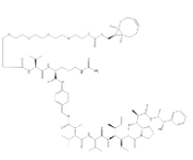endo-BCN-PEG4-Val-Cit-PAB-MMAE，2762519-08-2，(1R,8S,9S)-雙環[6.1.0]壬-四聚乙二醇-VAL-CIT-PAB-MMAE