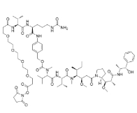 cas:2762518-86-3，NHS Ester-PEG4-Val-Cit-PAB-MMAE，抗體藥物偶聯(lián)物（ADC）
