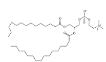 1-Myristoyl-2-palmitoyl-sn-glycero-3-phosphocholine，69525-80-0，1-肉豆蔻酰基-2-棕櫚酰基卵磷脂