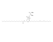 1-stearoyl-2-linoleoyl-sn-glycero-3-phospho-L-serine (sodium salt) (18:0 -18:2 PS)，CAS:322647-11-0，1-硬脂酰基-2-亞油酰基-sn-甘油-3-磷酸-L-絲氨酸(鈉鹽)