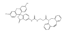 DBCO-FITC(5-isomer)，2054339-00-1